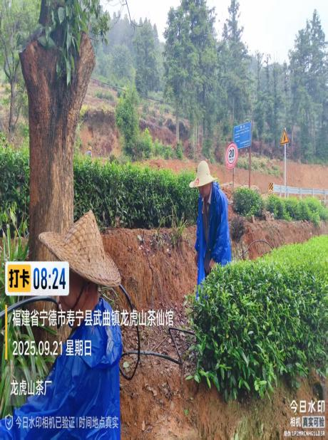 茶园水肥一体化建设方案(图17)