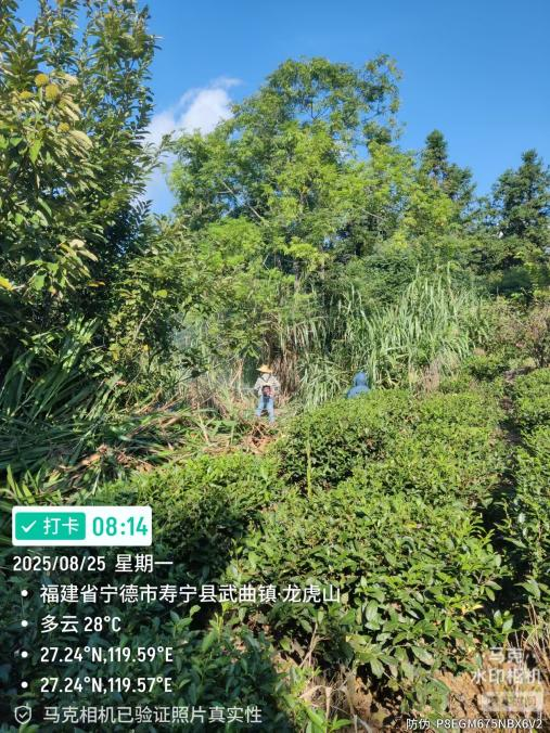 茶园水肥一体化建设方案(图8)