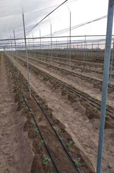 300亩大棚一体化智能灌溉系统方案(图9) 大棚水肥一体化300亩智能灌溉系统方案(图9)