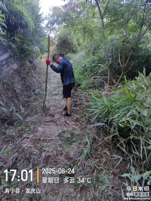 茶园水肥一体化建设方案(图9)