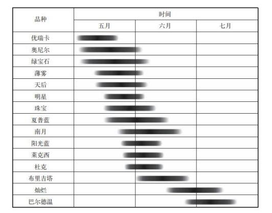蓝莓大棚水肥一体化种植方案(图11)