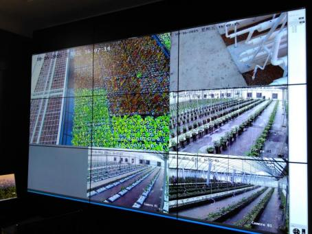 300亩大棚一体化智能灌溉系统方案(图12) 大棚水肥一体化300亩智能灌溉系统方案(图12)